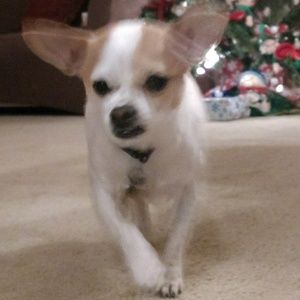 Meet your Posher, Claud